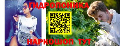 марихуана Кингисепп