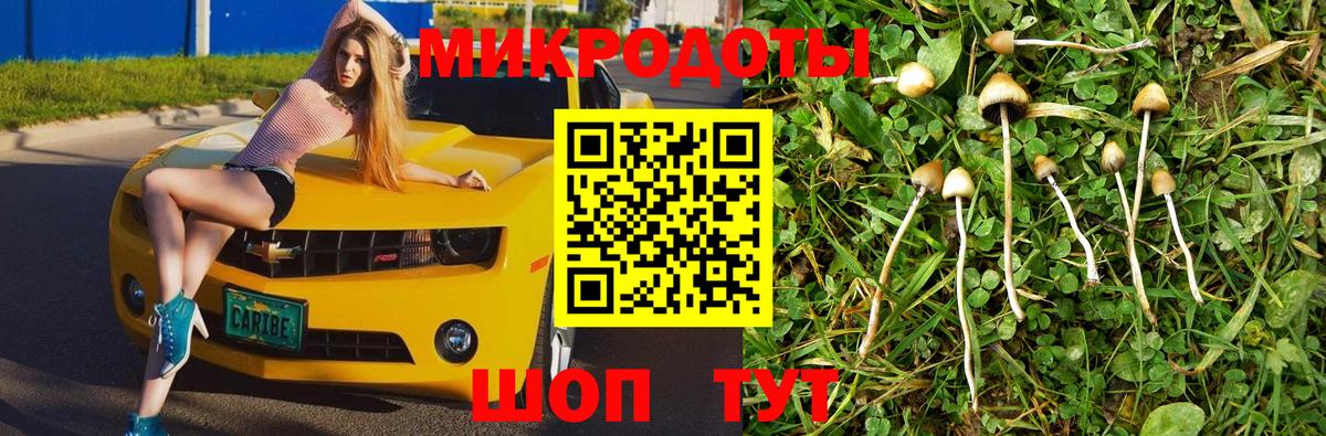Псилоцибиновые грибы MAGIC MUSHROOMS Качканар