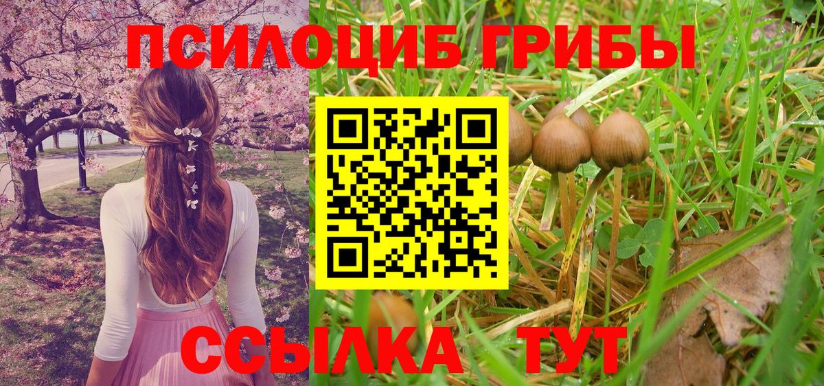 Качканар  дарнет шоп  Вход с VPN  Галлюциногенные грибы MAGIC MUSHROOMS 